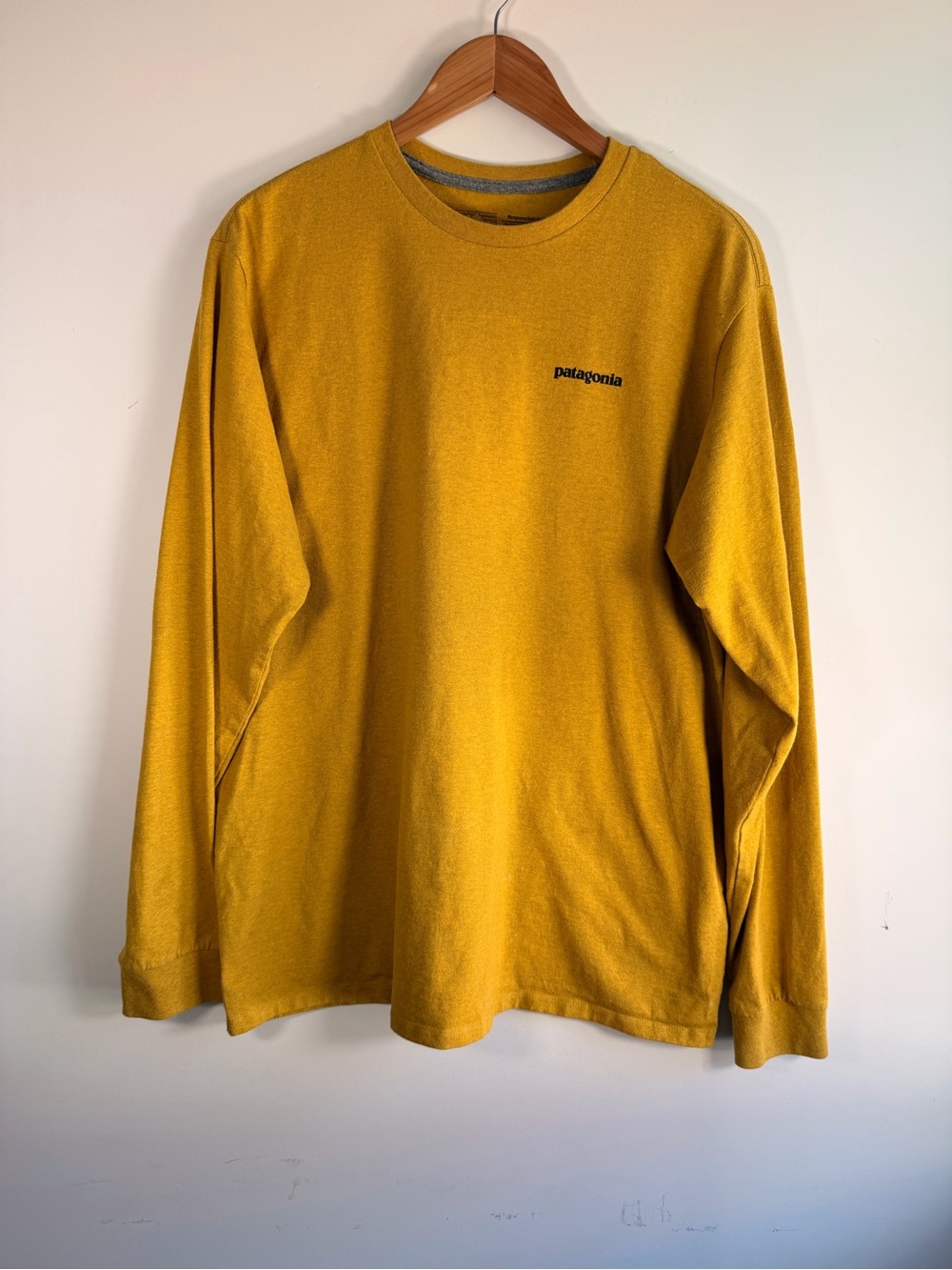 Patagonia Men's Long-Sleeve Crew in Mustard Yellow